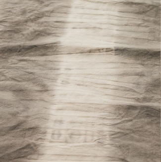 〈たぐり寄せ〉アカメガシワ　鉄媒染