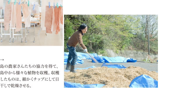 島の農家さんたちの協力を得て、島中から様々な植物を収穫。収穫したものは、細かくチップにして日干しで乾燥させる。